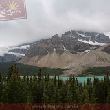 Crowfoot - Lake Louise - Alberta - Canadá