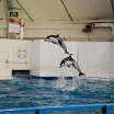 hokkaido_439.jpg