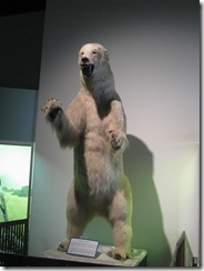 IMG_5379 IMG_5379