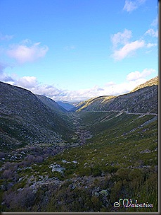 P1140443 P1140443