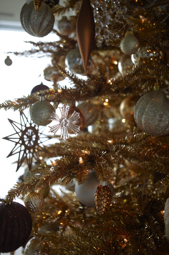 As you can see, I also hung pinecone and walnut ornaments on the tree.