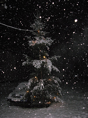 DSCN8638.JPG