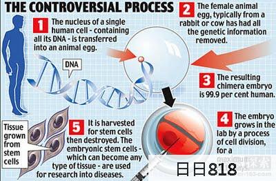 人獸混雜胚胎 155 個 (英科學家造出155個人獸混雜胚胎)