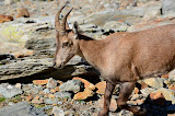DSC_0191.JPG