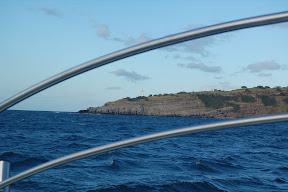 DSC_0823.JPG