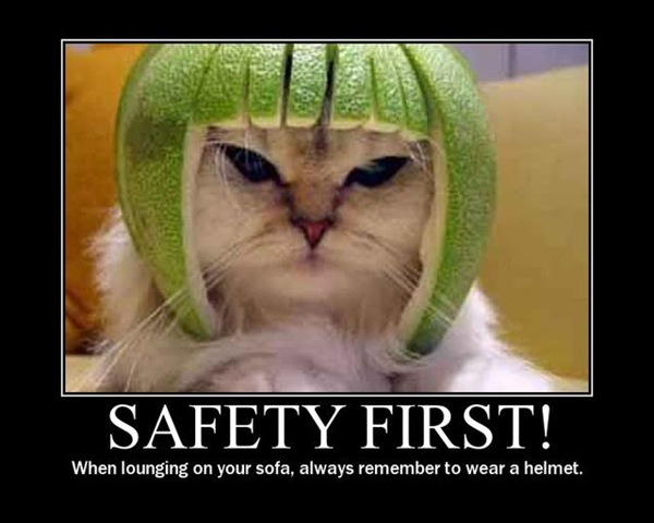 [safetycat3.jpg]