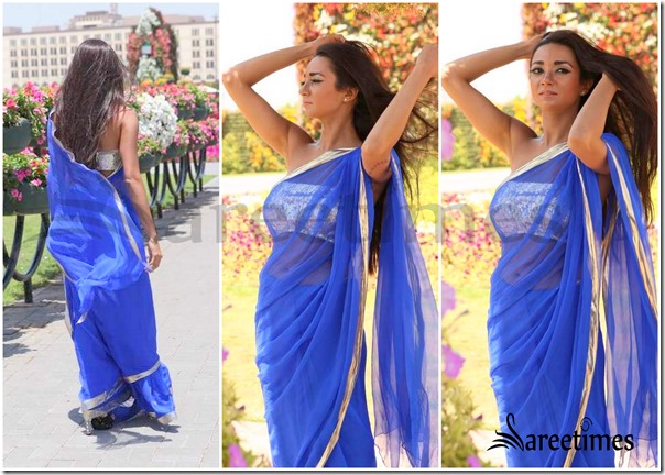 Blue_Net_Saree