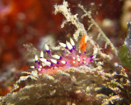 P7034507