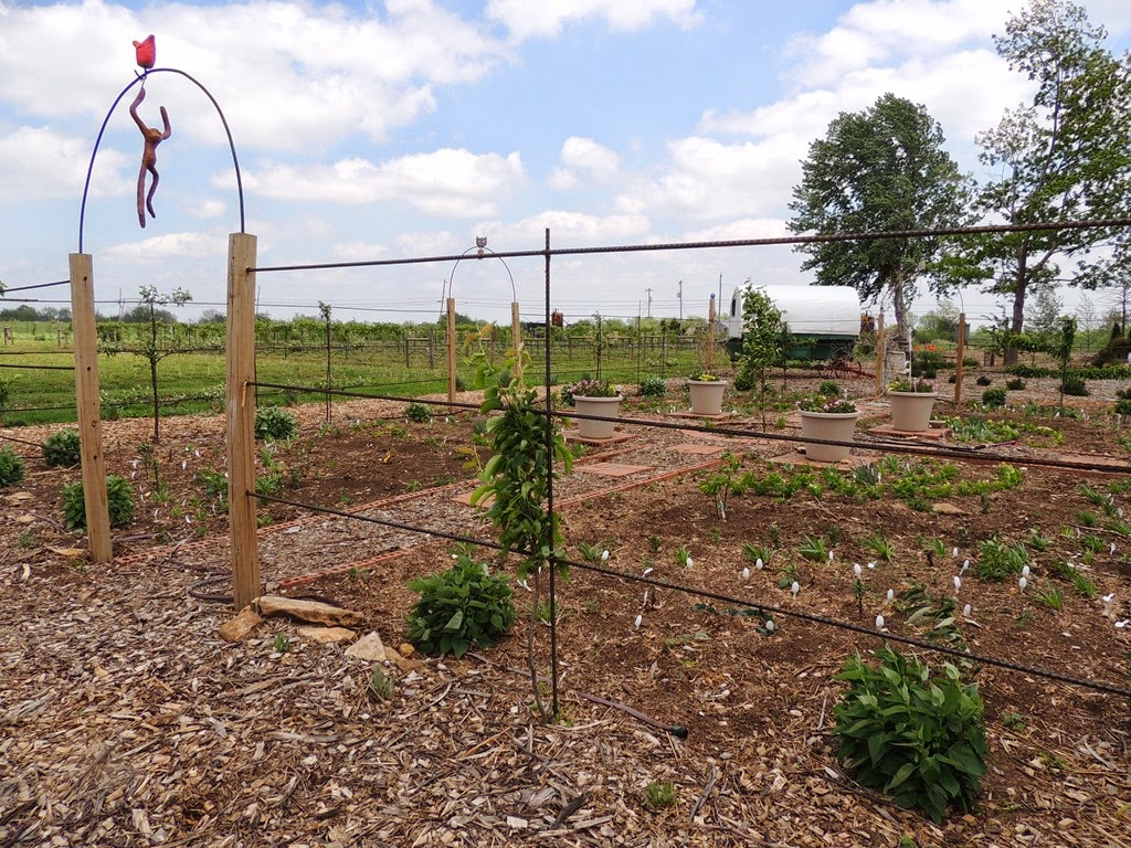 [DSCN8964%255B3%255D.jpg]