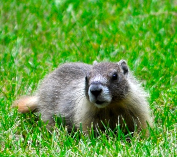 DSC_0124.jpg DSC 0124
