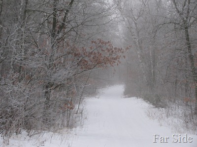 Beautiful snow fog on the back road