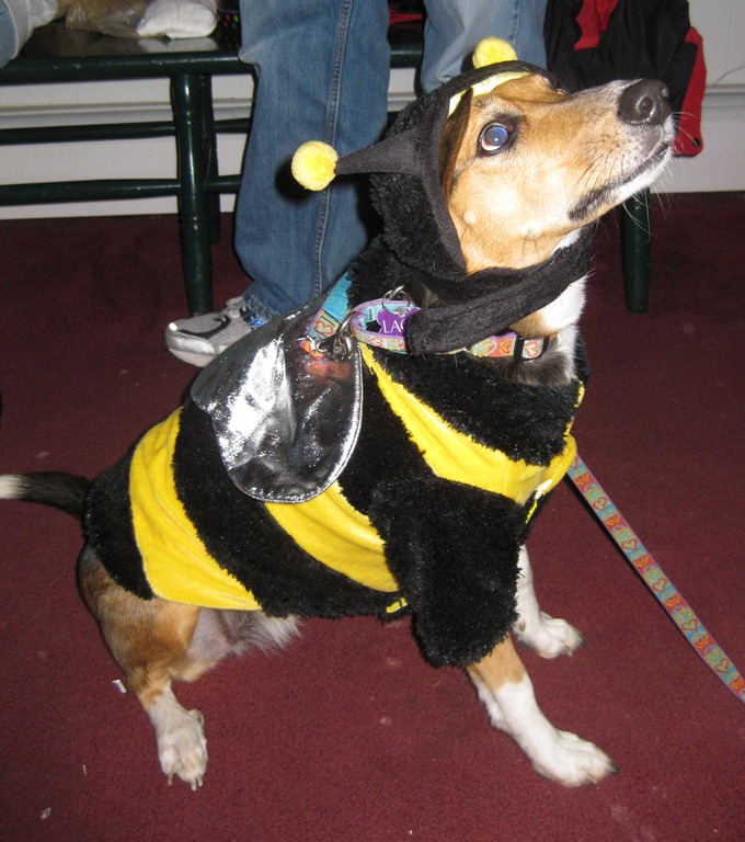 [IMG_1852%255B5%255D.jpg]
