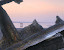 barnes - Wreck%252520of%252520Peter%252520Iredale.jpg
