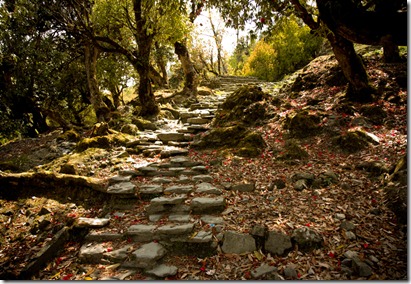 path_sm path_sm