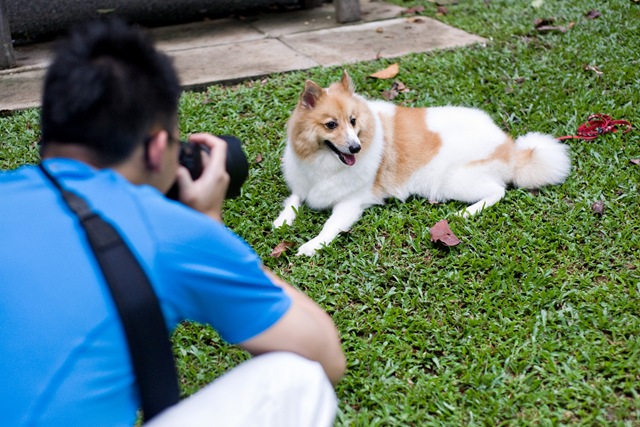 [DSC_4276%2520copy%255B4%255D.jpg]