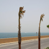 IMG_4694.JPG