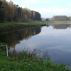 dsc06105.jpg