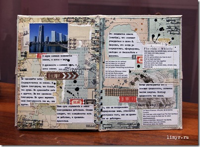 IMG_2550 IMG_2550