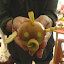 DSC08078.JPG