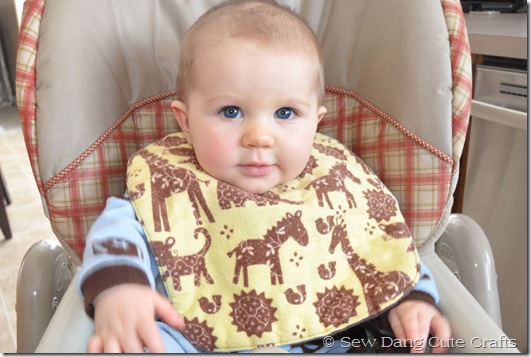Full-size-bib