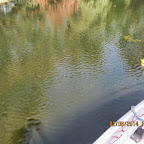 IMG_5366_P1.jpg