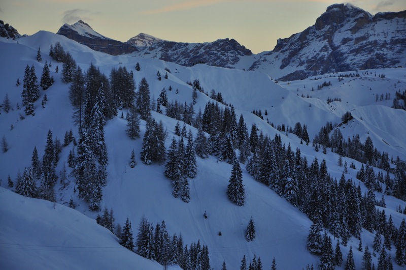 DSC_5925.JPG DSC 5925