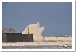 DSC_3793 DSC_3793