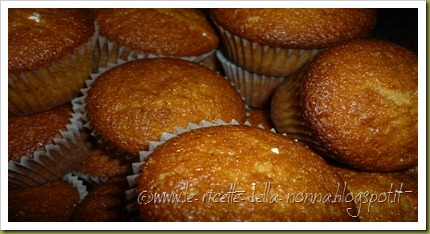 Muffin con farina di segale, malto d'orzo e zucchero di canna (7)