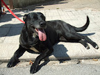 DSCF2923.JPG