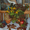 DSC_0152-MOTION.gif