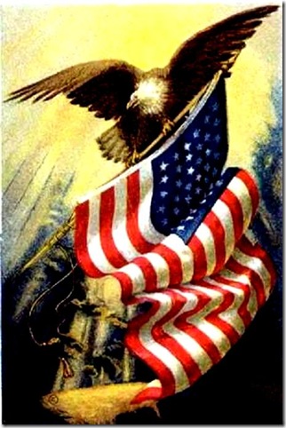 Bald Eagle - US Flag Bald Eagle - US Flag