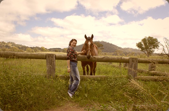 Pony_2