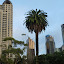 Auckland Skyline - Auckland, New Zealand