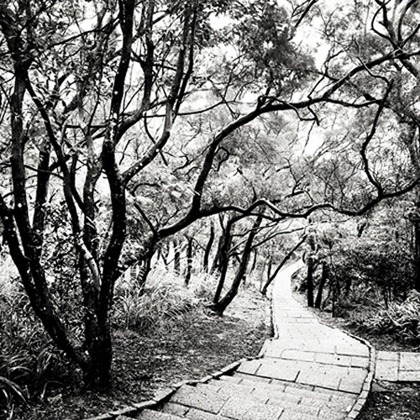 [Josef_Hoflehner_Elephant_Hill_Pathway%255B5%255D.jpg]