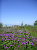 blommor.jpg
