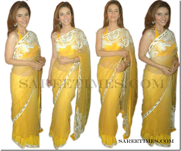 Raageshwari_Shimmer_Saree