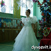 DSCN8100.JPG