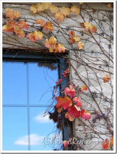 window