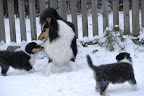 _DSC0058.JPG