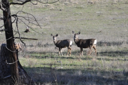 DSC_0068.jpg DSC 0068