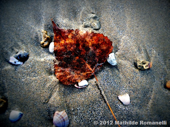 Ondine Ondine
