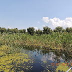 DSCN3063.JPG