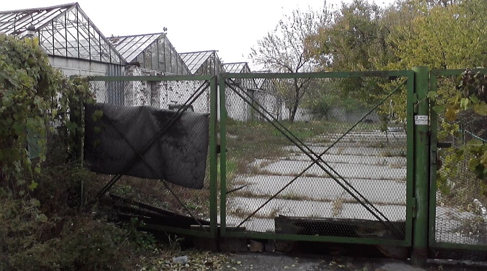 P231010_12.36.jpg