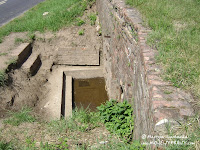 dsc06902.jpg