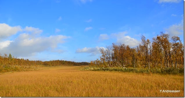 DSC_6693 DSC_6693