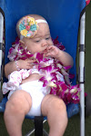 IMGP3445.jpg