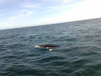 100420111049.jpg