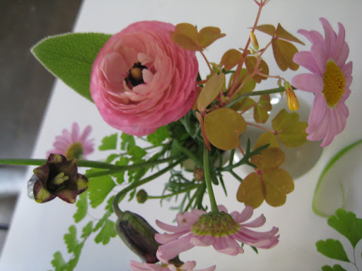 A small grouping of bitsy blooms and foliage.
