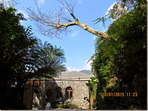 IMG_0326 IMG_0326