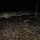 030.jpg